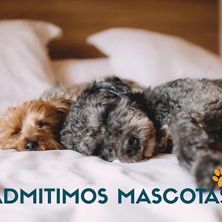 Riviera 3000 Apartmán